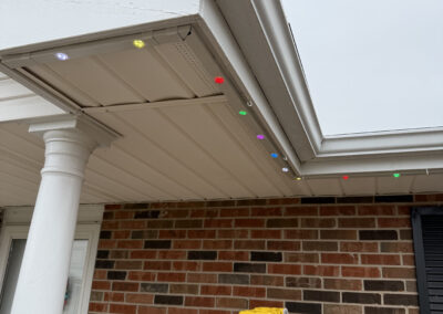 Outdoor jellyfish lighting